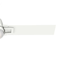 Conjunto Suporte de Pas Philippe Branco