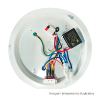 Chicote de Fios - Nova (127v)