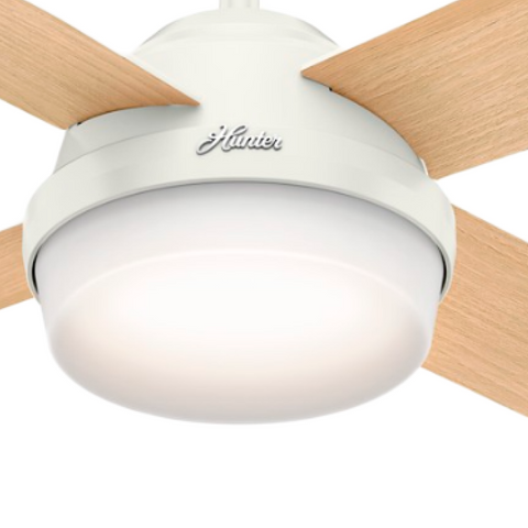 Globo de Vidro Dante