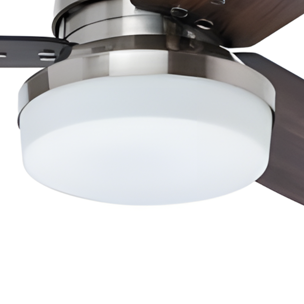 Objeto Ornamental de Vidro-Globo de Vidro